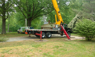 Tree Care Tips