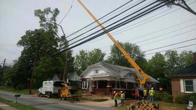 Local Tree Services in Huntersville, North Carolina