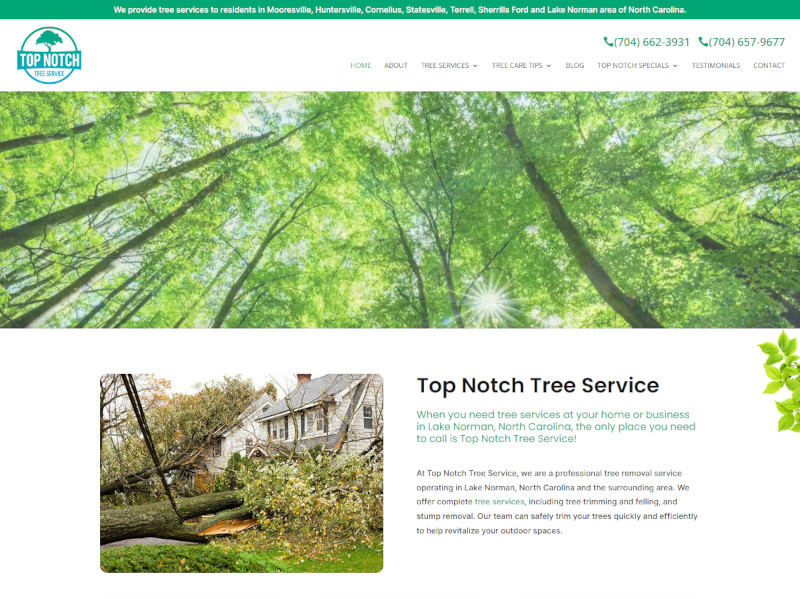 Top Notch Tree Service blog