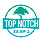 Top Notch Tree Service