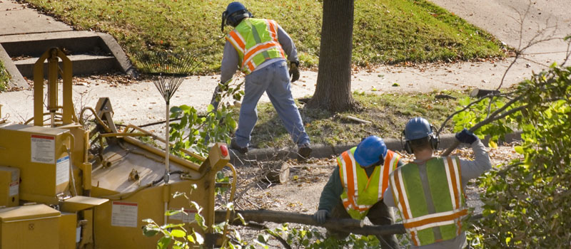 Tree Storm Damage Cleanup, Lake Norman, North Carolina