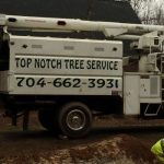 Winter Tree Care in Lake Norman, North Carolina