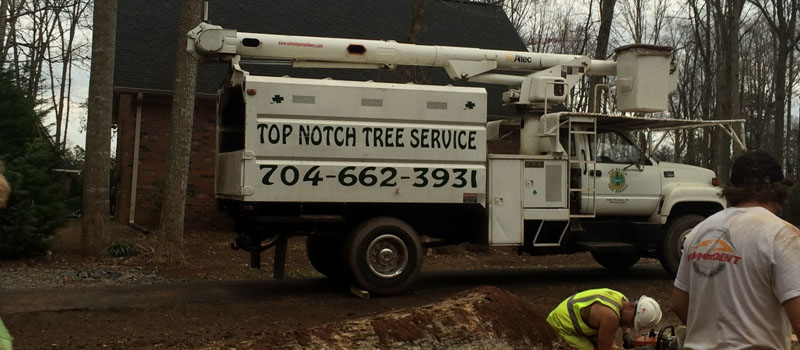 Winter Tree Care in Mooresville, North Carolina