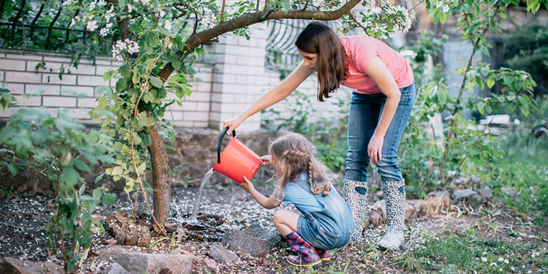 Spring Tree Care Tips