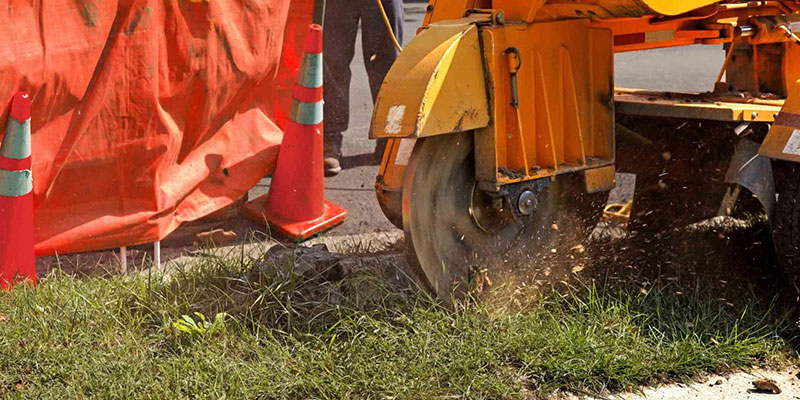 Benefits of Tree Stump Grinding