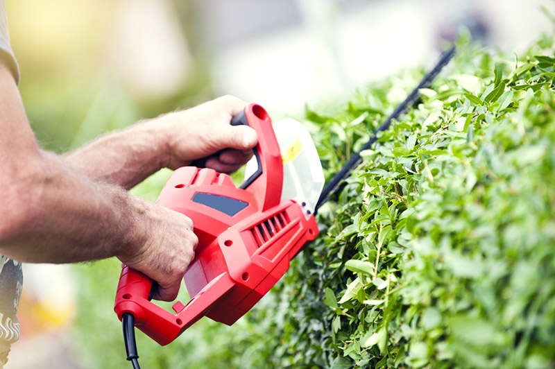 Trimming the Bushes