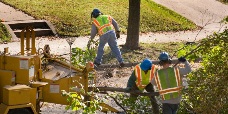 Tree Storm Damage Cleanup in Huntersville, North Carolina