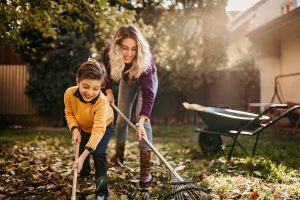 5 Ways to Amp Up Your Fall Tree Care Routine