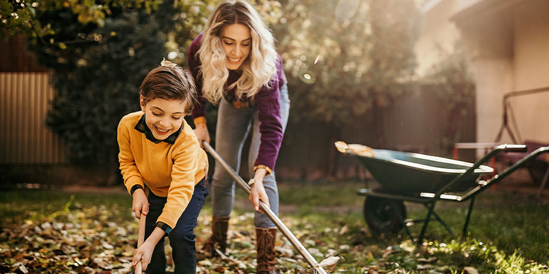 5 Ways to Amp Up Your Fall Tree Care Routine